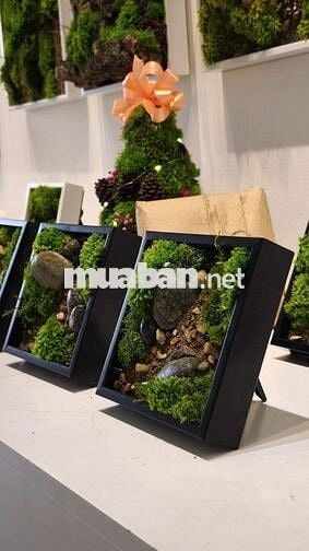 THEMOSSBOX TUYỂN DỤNG 2 NHÂN VIÊN THỦ CÔNG