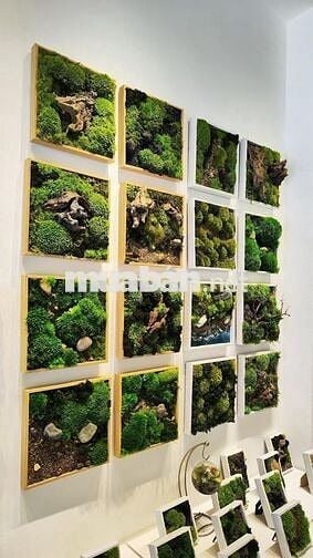 THEMOSSBOX TUYỂN DỤNG 2 NHÂN VIÊN THỦ CÔNG