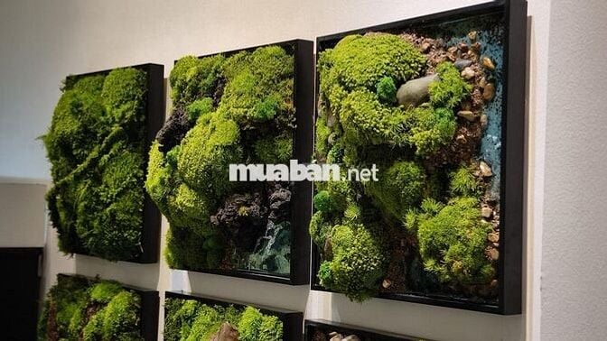 THEMOSSBOX TUYỂN DỤNG 2 NHÂN VIÊN THỦ CÔNG