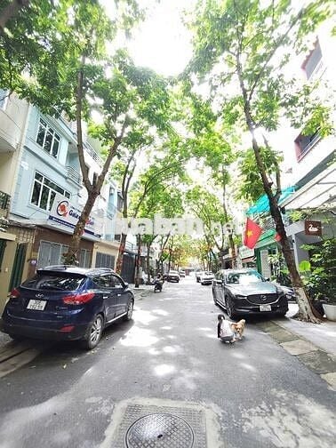 Cho Thuê Nhà Liền Kề Xa La  – 80m² x 4T, Vỉa Hè Rộng, Giá 20 Tr