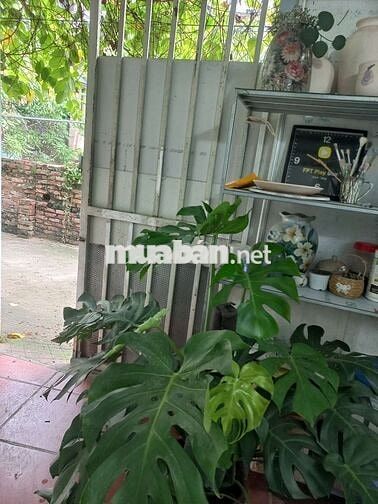 cho thuê nhà 2 tầng mới đầy đủ nội thất