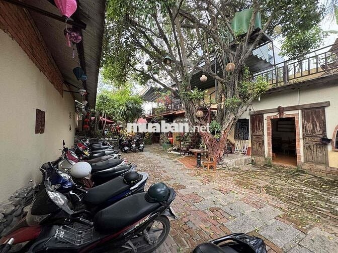 Sang Quán Cà Phê Bà Điểm Hóc Môn