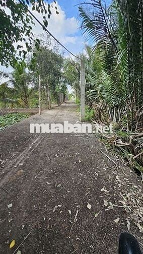 đất 1 tỷ 200 triệu 1 công 1.220m2
