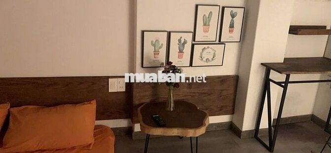 Phòng cao cấp chuyển vào tháng 9, đặt phòng trước giảm 1 triệu tháng 9