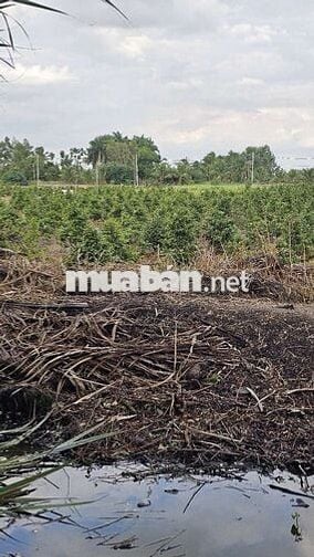 đất 1 tỷ 200 triệu 1 công 1.220m2