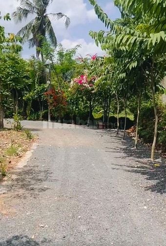 🔥 BÁN ĐẤT CHÍNH CHỦ CẦN THU HỒI VỐN - CAM KẾT RẺ HƠN THỊ TRƯỜNG 20% 