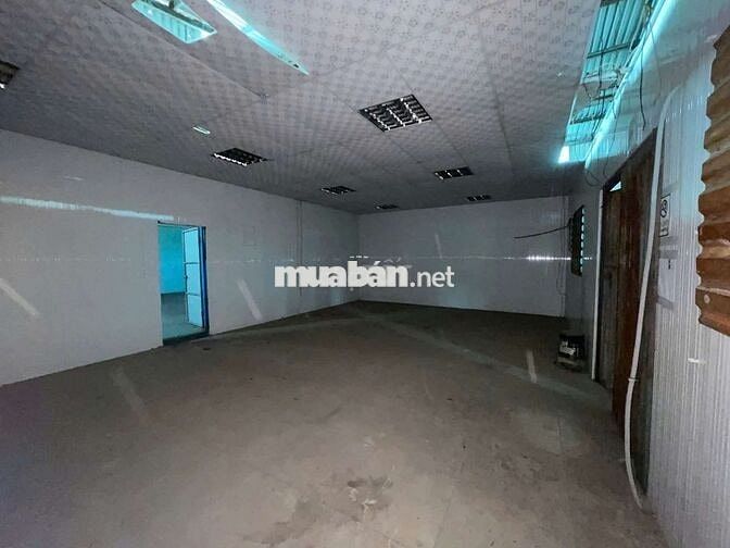 Xưởng Thường Tân 1350m giá 50 triệu