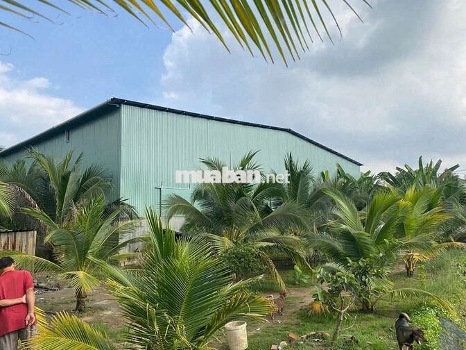 Bán nhà, đất, xưởng 5.500 m2 mặt tiền QL60 - Cách TP. Trà Vinh chỉ 4km