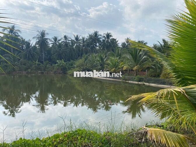 Bán nhà, đất, xưởng 5.500 m2 mặt tiền QL60 - Cách TP. Trà Vinh chỉ 4km