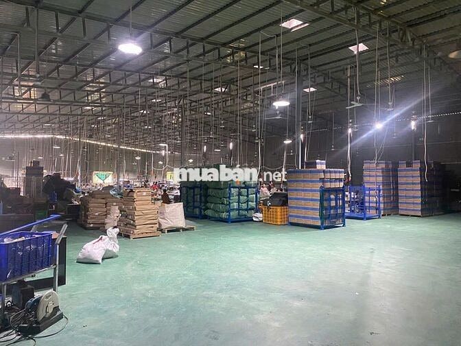Bán nhà, đất, xưởng 5.500 m2 mặt tiền QL60 - Cách TP. Trà Vinh chỉ 4km
