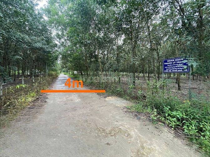 Công ty Đấu giá hợp danh Lam Sơn Sài Gòn THÔNG BÁO ĐẤU GIÁ TÀI SẢN