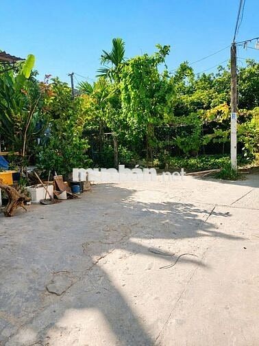 🏡 BÁN ĐẤT KIỆT 244 TÔN ĐỨC THẮNG – TẶNG NHÀ CẤP 4 – SẴN DÒNG TIỀN