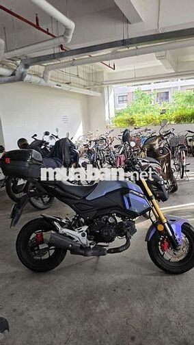 Honda MSX125 2019 Xám xi măng 43000 km