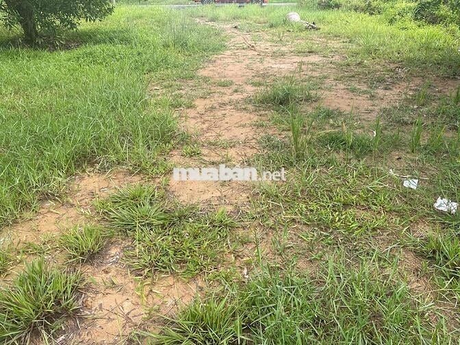 Đất chính chủ 20x41 mt đường nhựa 150m2 thổ cư