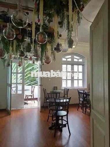 ĐẶNG DUNG - TÂN ĐỊNH| Khu văn phòng diện tích đẹp cho thương hiệu