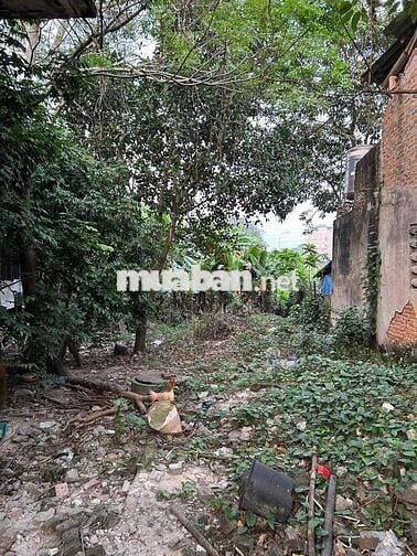 bán đất chính chủ gần chợ ỷ la tuyên quang