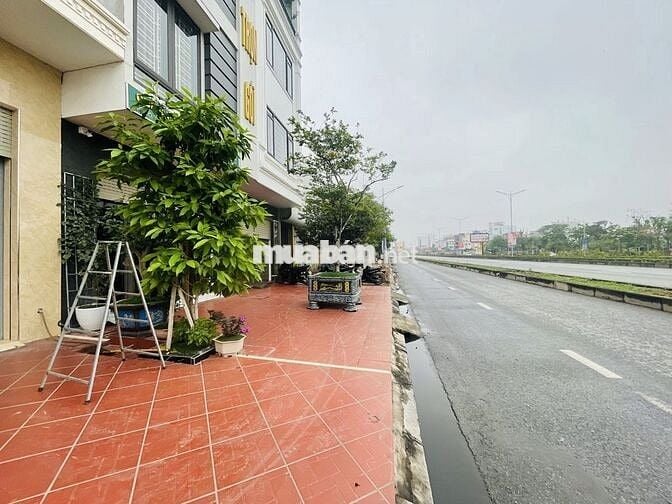 Bán đất tặng nhà mặt đường Bùi Viện gần bến xe Vĩnh Niệm