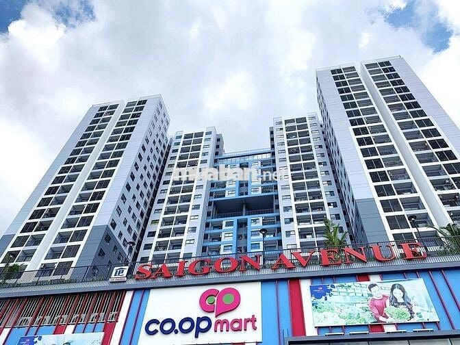 Chính chủ cho thuê căn hộ 2PN + 1WC, full tiện ích, Saigon Avenue, TĐ