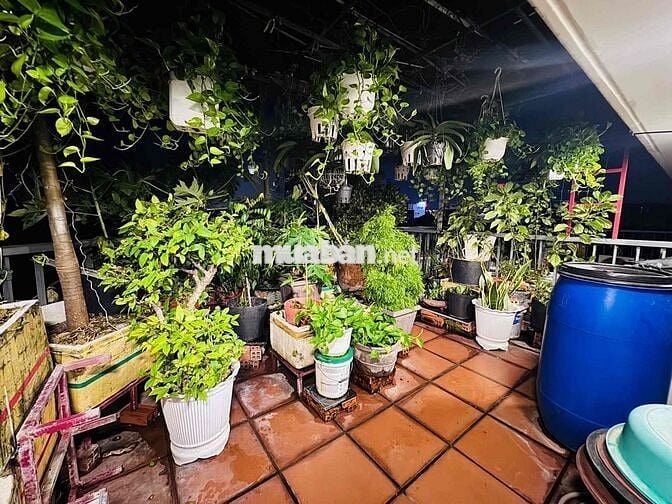 Chủ giảm sâu 500Tr Căn nhà nằm trong con hẻm dân trí sang trọng xe h