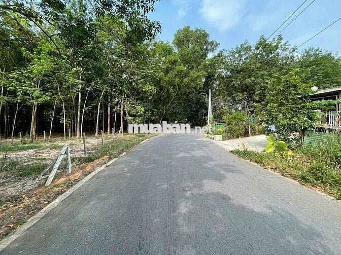 3tỷ153 = 738.6m² NHÁNH ĐT748 Xã An Điền, Bến Cát, Bình