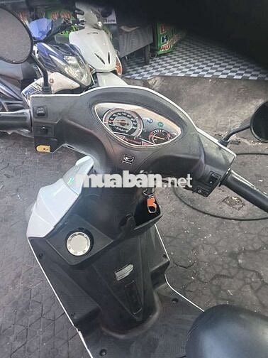 Kymco Candy Hi Trắng