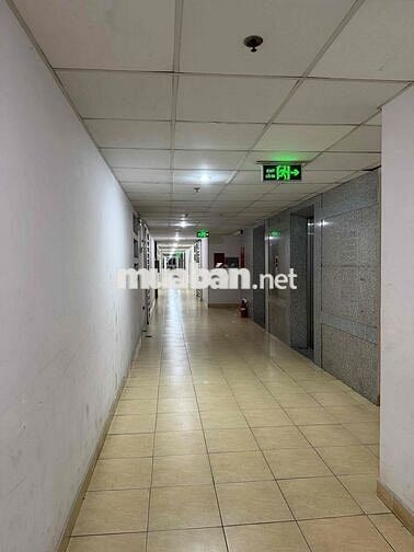 Chính chủ cần bán căn hộ chung cư D1 KDC Phú Lợi, Quận 8