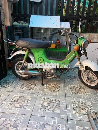 Honda CF50 1987 Xanh 49cc Chaly 6 tr 5 máy êm