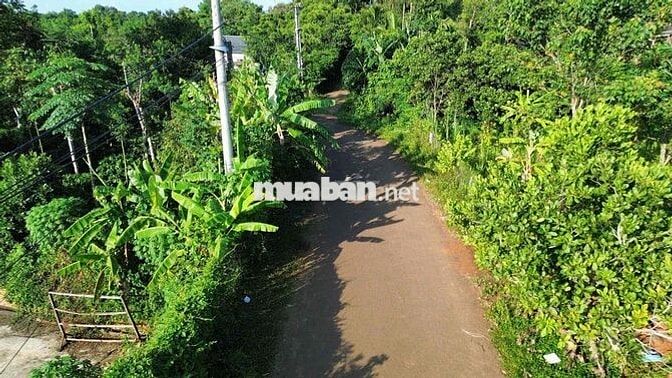 Đất nền Hồ Eakao 746.3 m² Sổ hồng