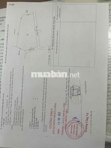 Còn gì hiếm hơn một lô đất ven sông, gần Hội An với giá chỉ 11 triệu/m