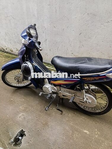 SYM Angel 100 Thể thao Xanh