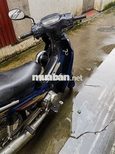 SYM Angel 100 Thể thao Xanh