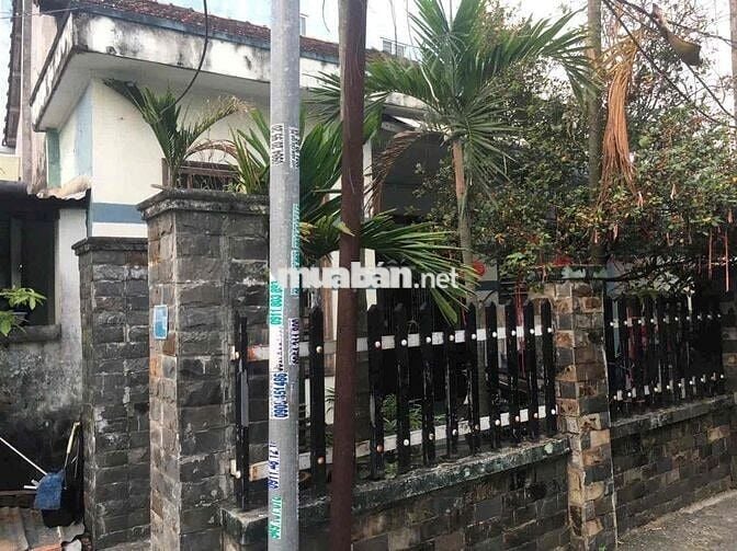 Cho thuê nhà cấp 4 kiệt Trường Chinh Gần Lê Trọng Tấn DT Khủng giá rẻ