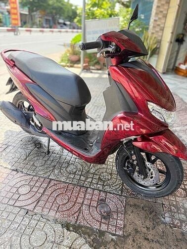 Freego 2021 B65