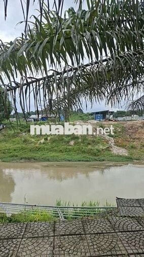 Bán nhà ngộp mt đường Huỳnh Văn lũy phường Bình Dương 