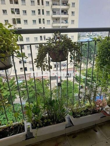 Cho thuê chung cư Quân khu 7 full nội thất xịn đẹp 7 triệu