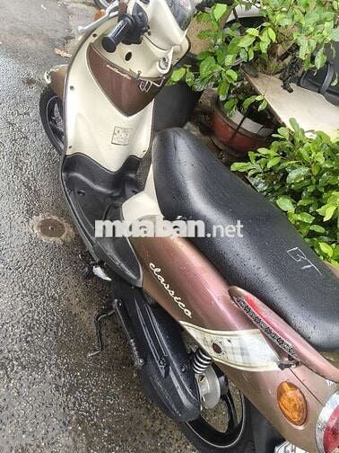 Yamaha Classico Nâu