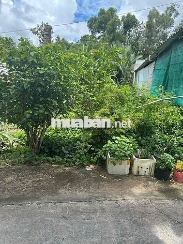 Do nhu cầu phát triển công việc. Gia đình em cần bán đất nền. Dài 40 ×
