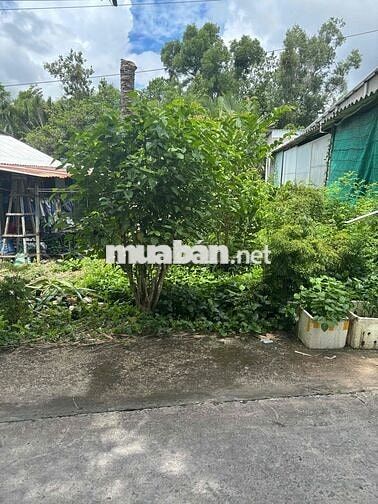 Do nhu cầu phát triển công việc. Gia đình em cần bán đất nền. Dài 40 ×