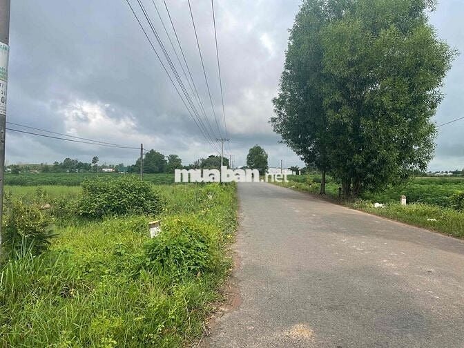 Đất xây biệt thự, kho xưởng, mở quán 800m2 mt đường nhựa