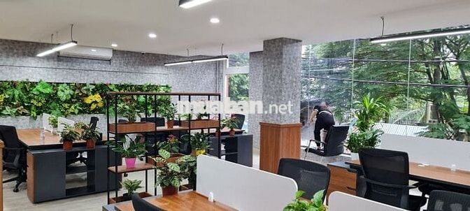 Chính chủ cho thuê tầng 2 văn phòng 185m² Hoàng Mai