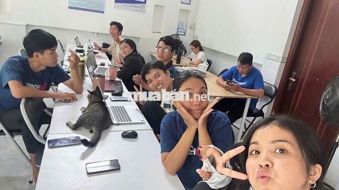 CẦN 3 BẠN CTV REP TIN NHẮN KHÁCH THUÊ PHÒNG