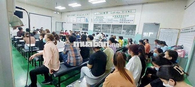[LÀM NGAY, BAO ĂN Ở, ỨNG LƯƠNG] 200 NV SẢN XUẤT QU