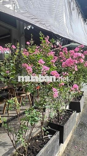 tuyển phục vụ pha chế lương cao