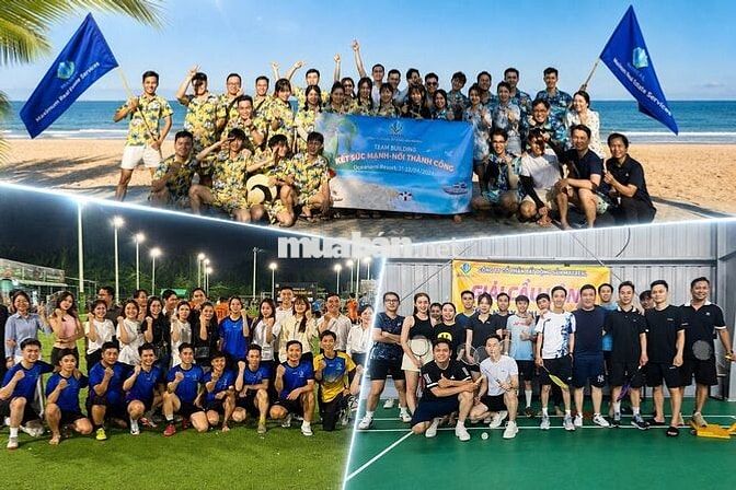 TUYỂN NV VĂN PHÒNG TÂN BÌNH-KHÔNG CẦN KINH NGHIỆM