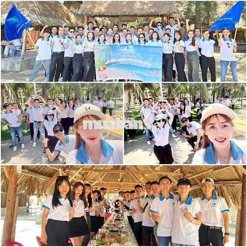 TUYỂN NV VĂN PHÒNG TÂN BÌNH-KHÔNG CẦN KINH NGHIỆM