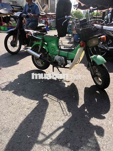 Honda Chaly 81/50 50cc Xanh lá