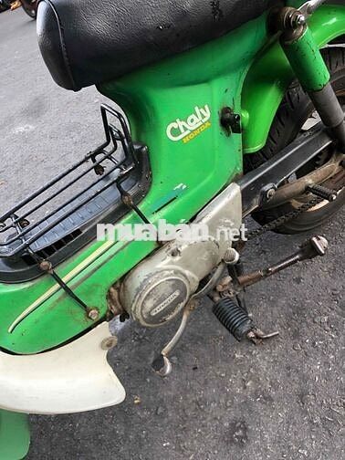 Honda Chaly 81/50 50cc Xanh lá