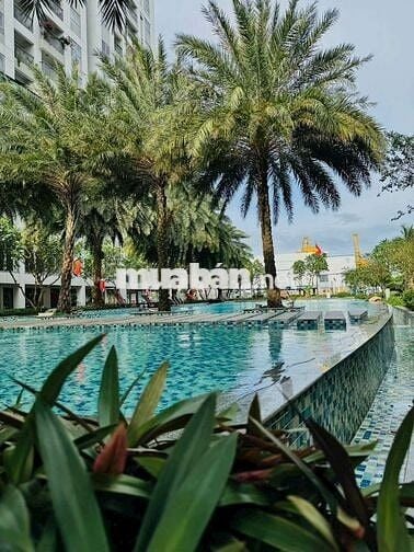 MẶT TIỀN ĐƯỜNG XE HƠI TÂN QUY GIÁ CỰC RẺ