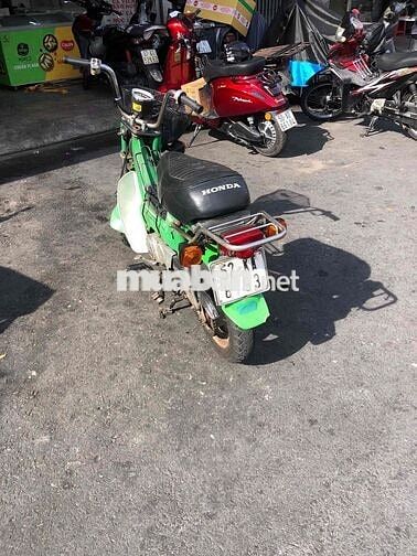 Honda Chaly 81/50 50cc Xanh lá
