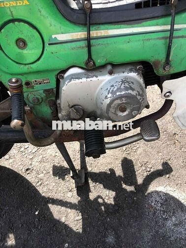 Honda Chaly 81/50 50cc Xanh lá